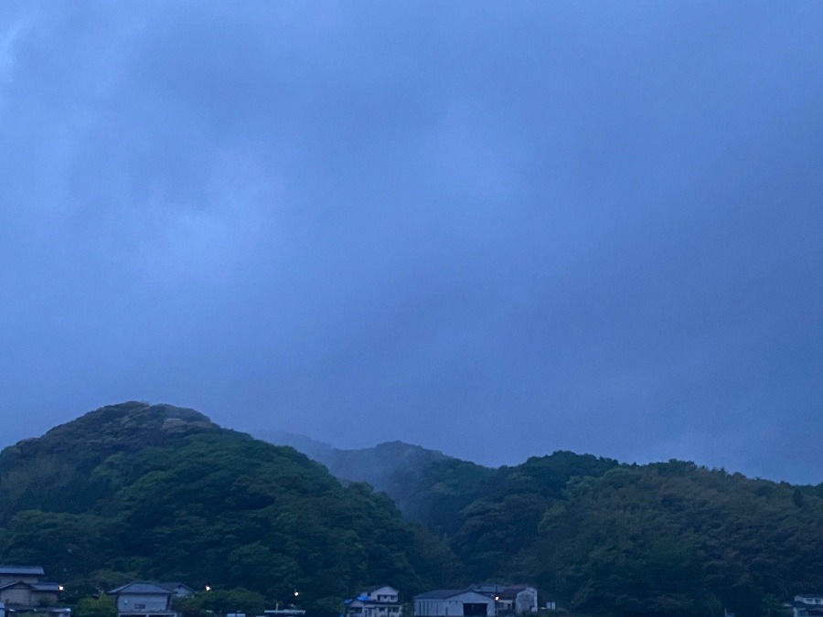 今朝は雨