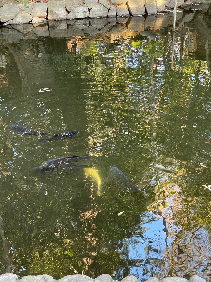 とある神社の