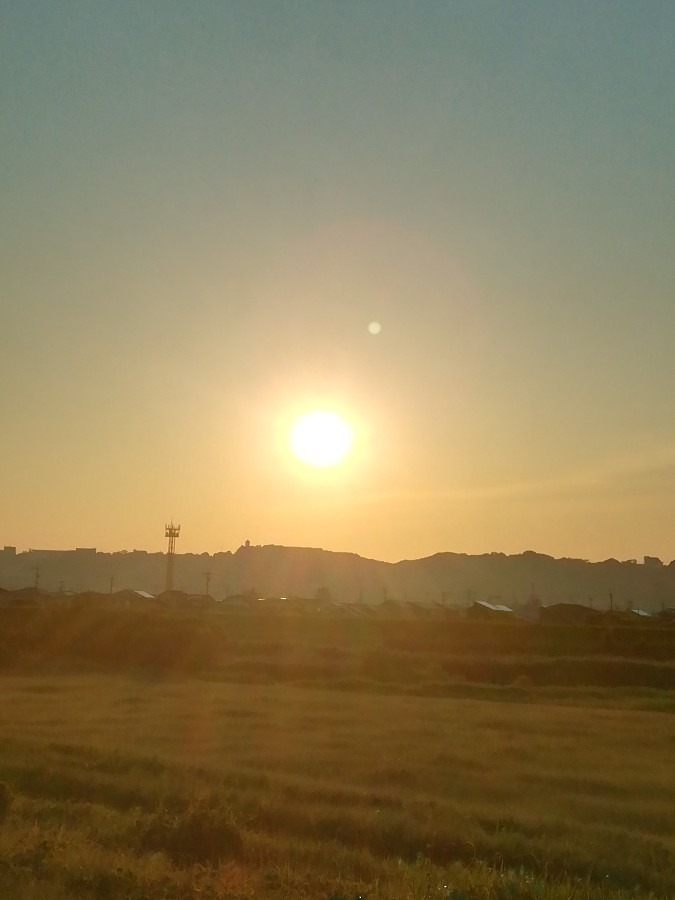 今朝の空