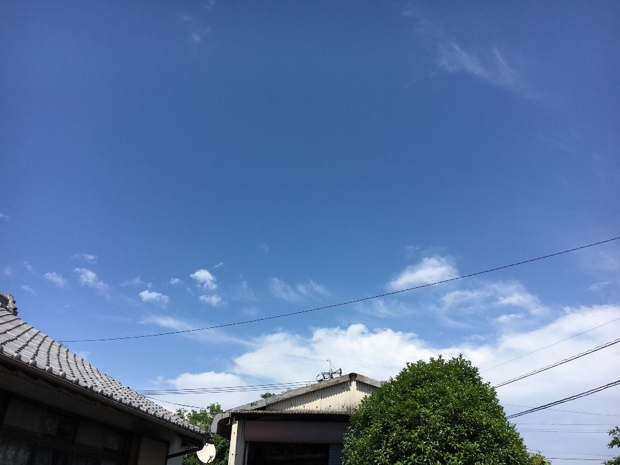 ⭕️空部→ 5.気持ちいい空‼️(^O^)