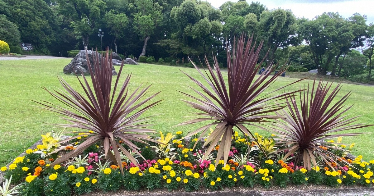 宮崎県立平和台公園🌼