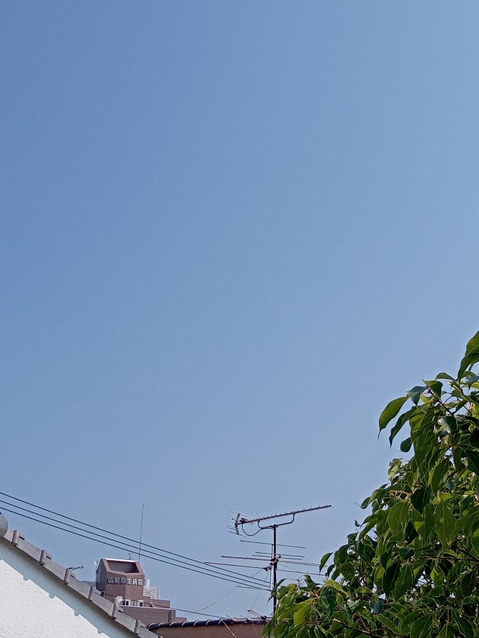 現在の空☀️　８:55