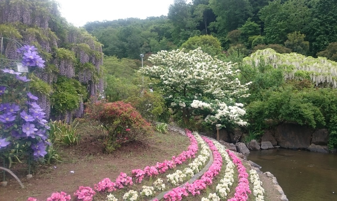 花園