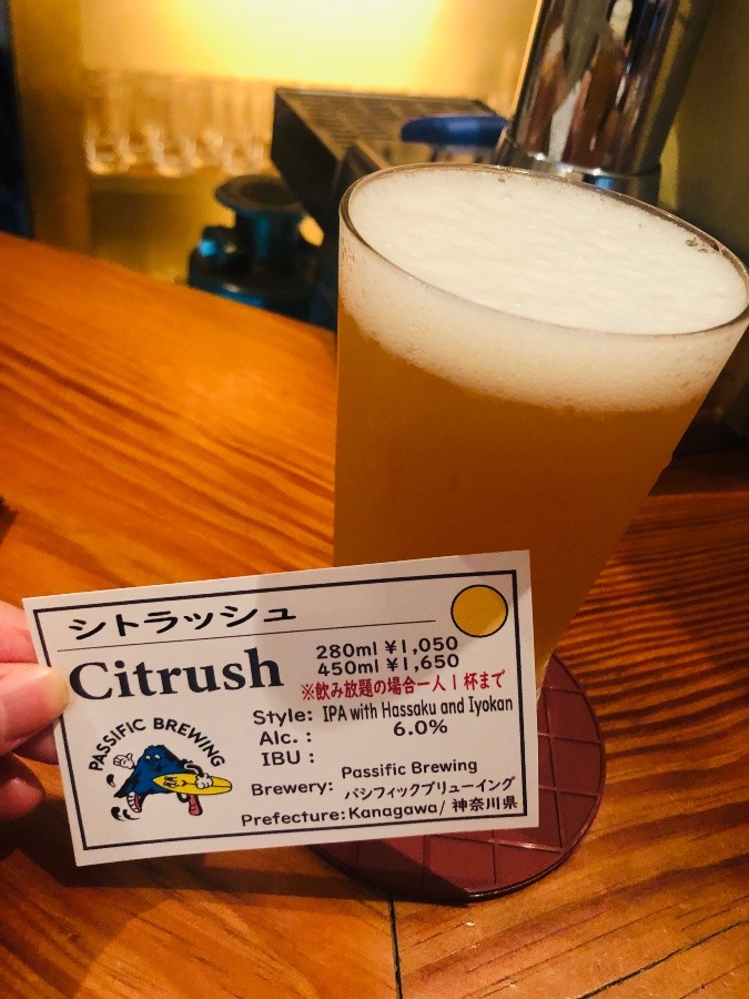 今日の一杯🍺