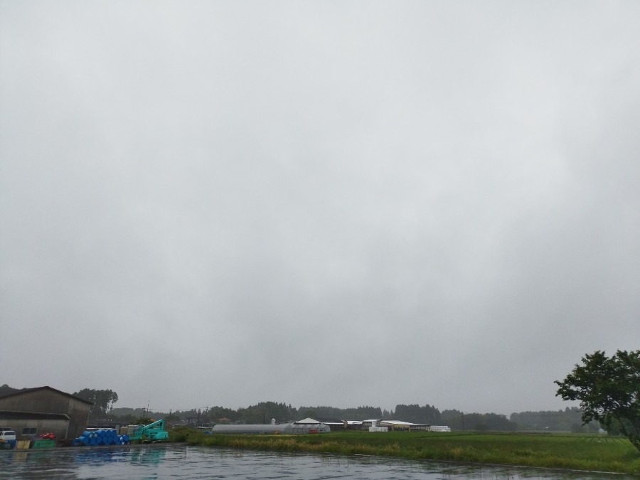 都城市（2022/5/6）　今日は雨の始まりです😓