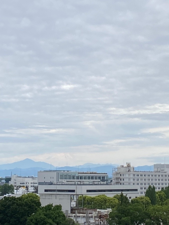 今朝の富士山