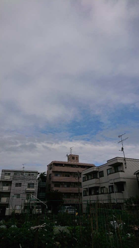 5/22 今の空