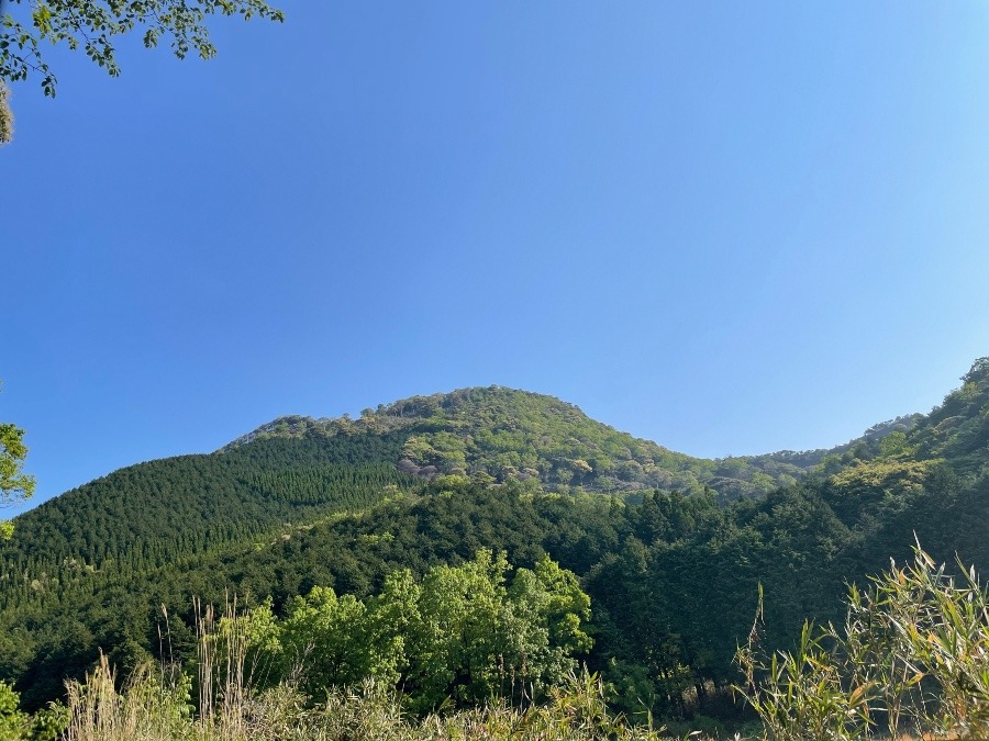 朝の空