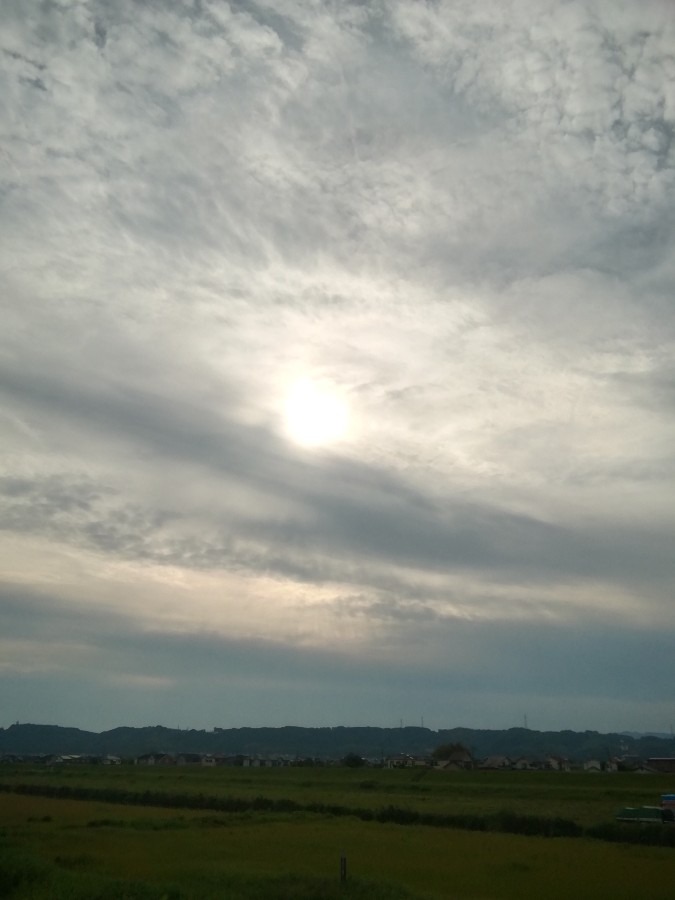 今朝の空