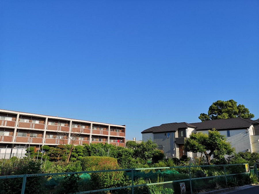 昨日　午後５時半の空✨西東京市