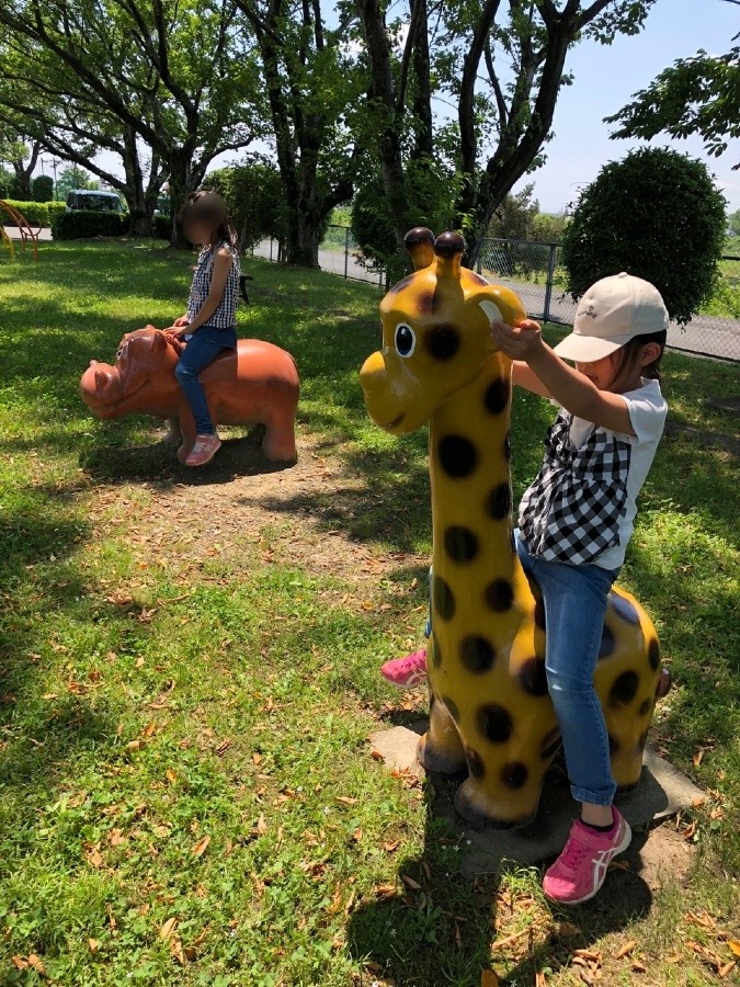 キリンさんが好きです❣️ゾウさんも好きです❣️カバさんは‥