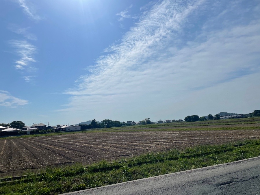 朝の空