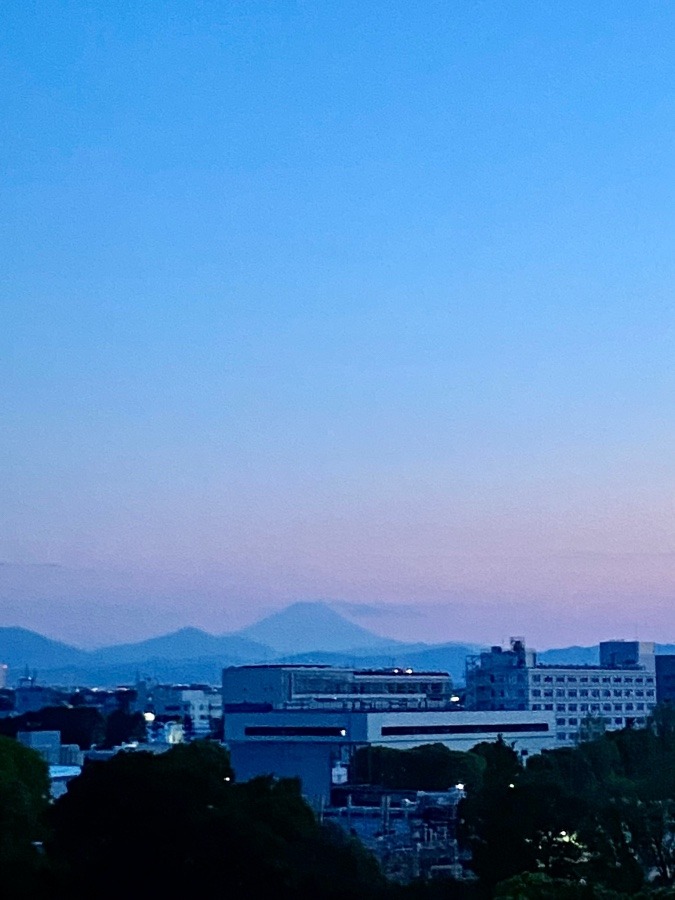 夕方の富士山