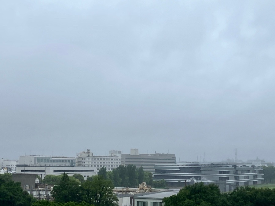 今朝の富士山