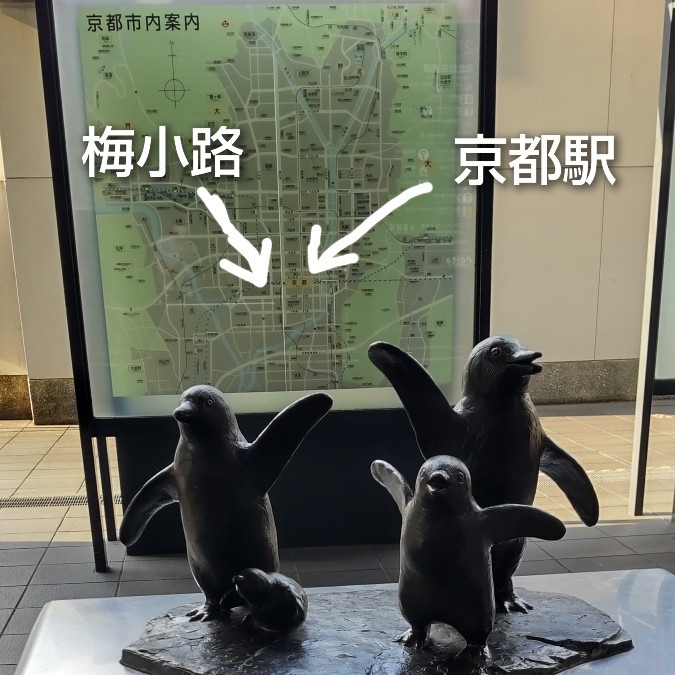 京都駅・ケープペンギン🐧お出迎え