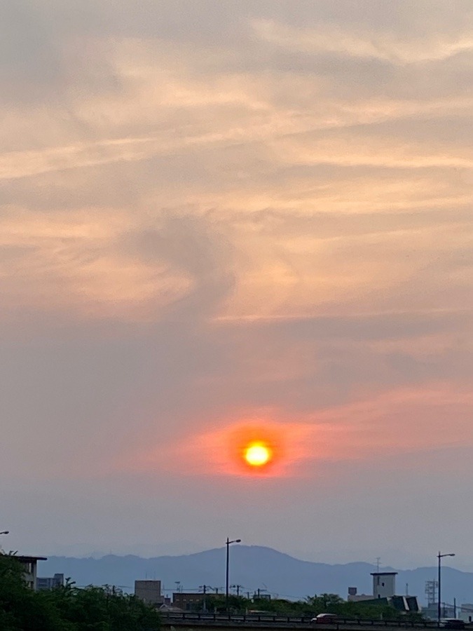 夕陽‼️