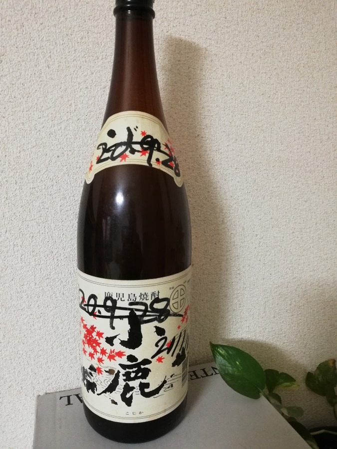 スズメバチ入りの焼酎!