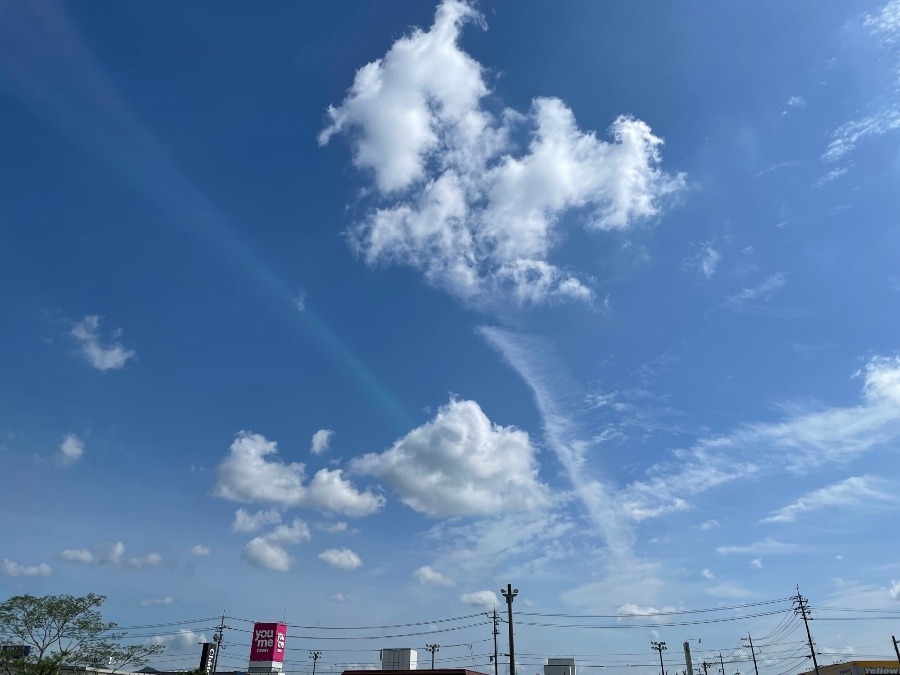 朝の空