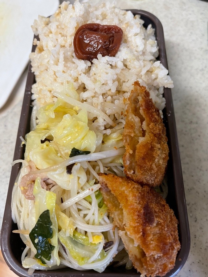 5／20今日の弁当