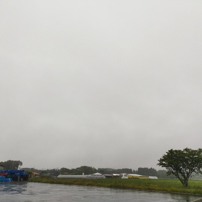 都城市（2022/5/12）　今朝も雨です😞⤵️