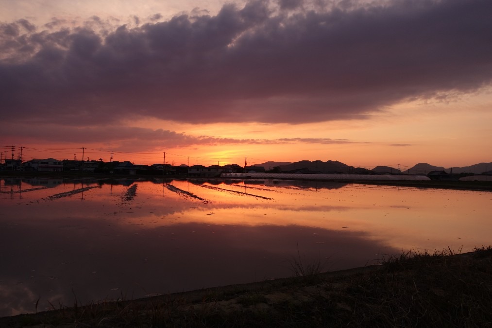 今日の夕焼け、おすそ分け