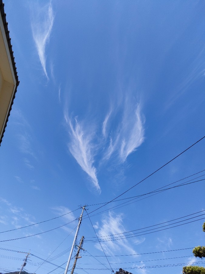 雲に羽根が。。。