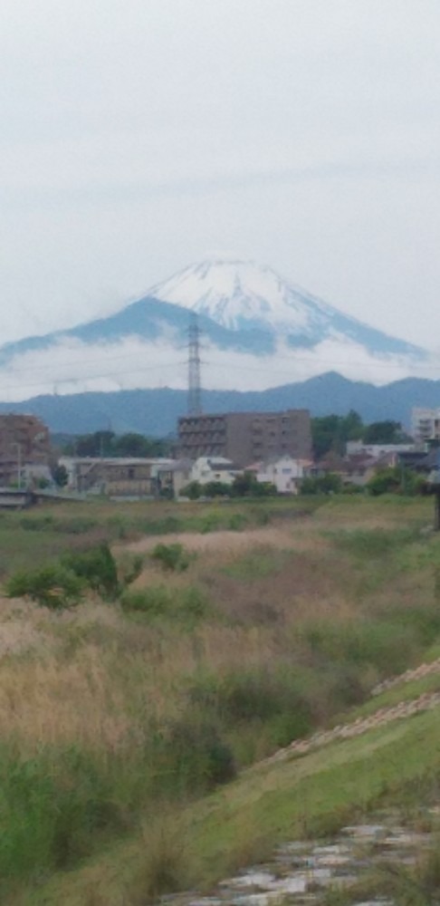 今日の富士山