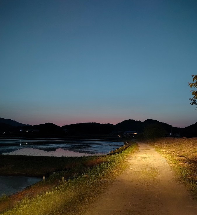 田園の一本道