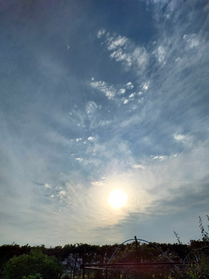 5/23　18時の空