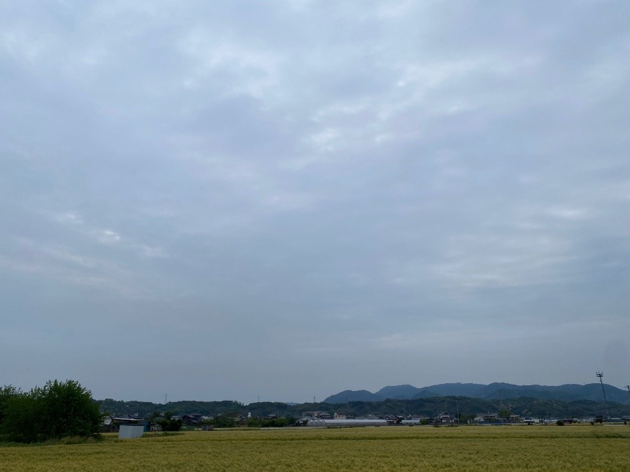 今朝の空