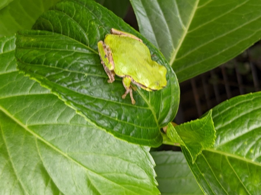 ひと休み…