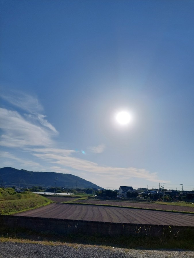 5/29朝空