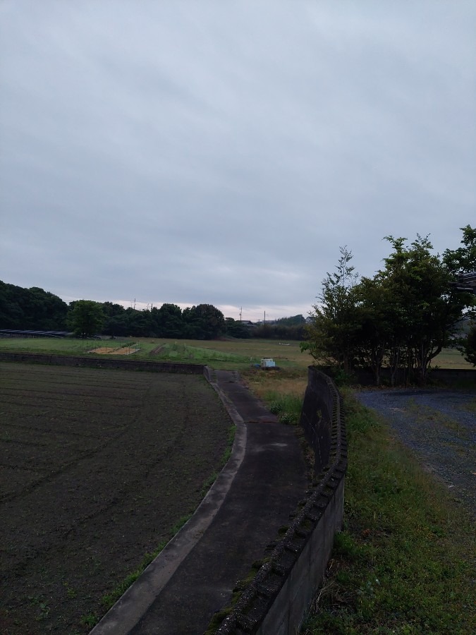 19時の空