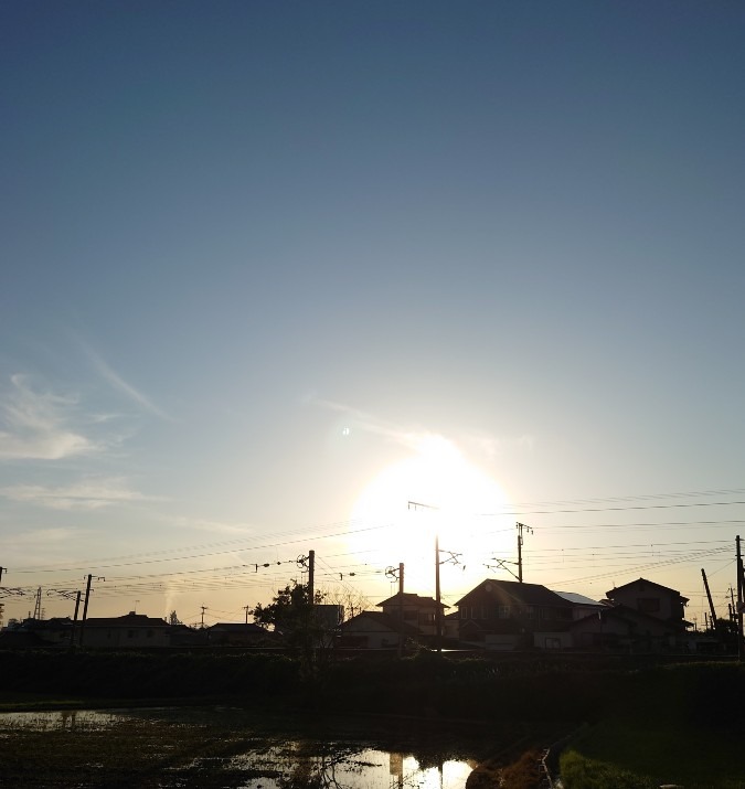 5/29朝空