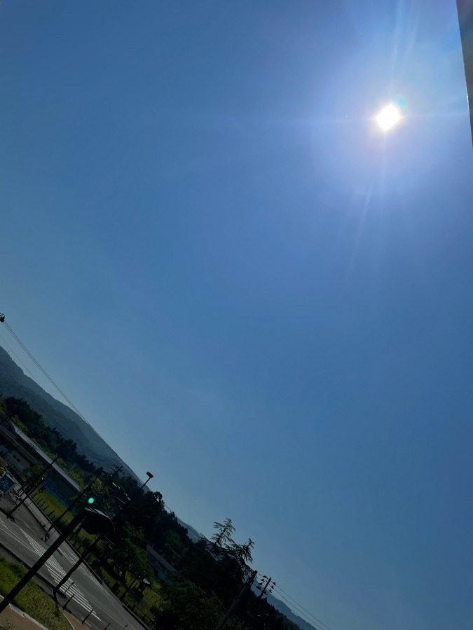 おはようございます☀️今日もいい日！