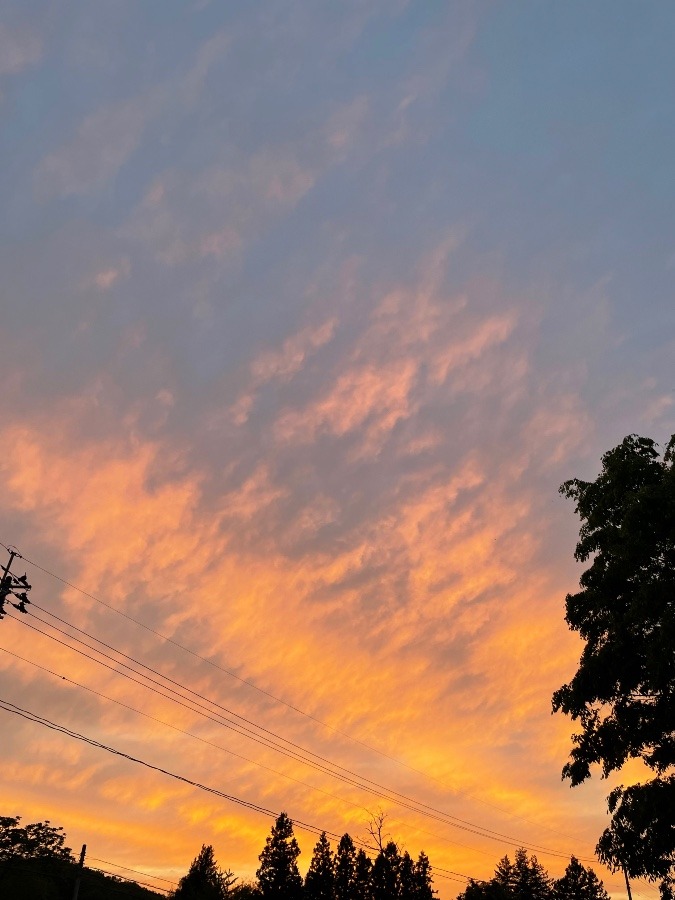 昨日の夕焼け空^_^