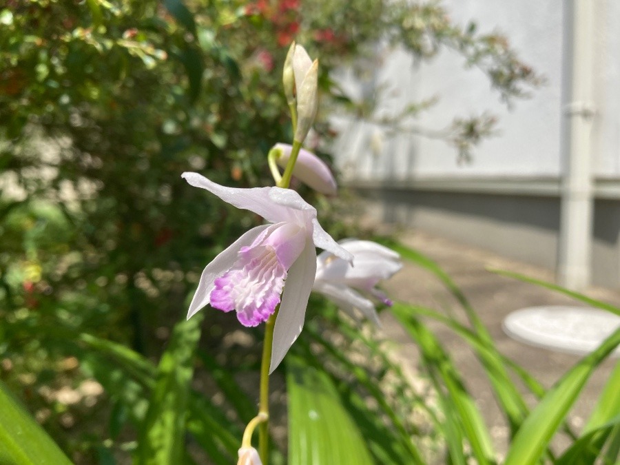 今日も良い天氣