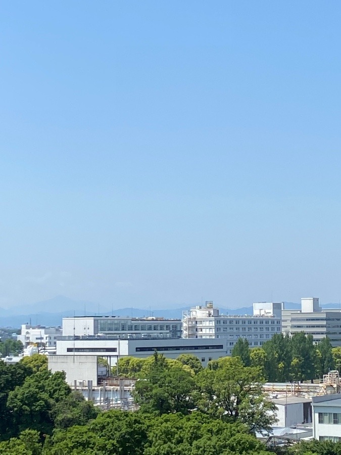 お昼前の富士山