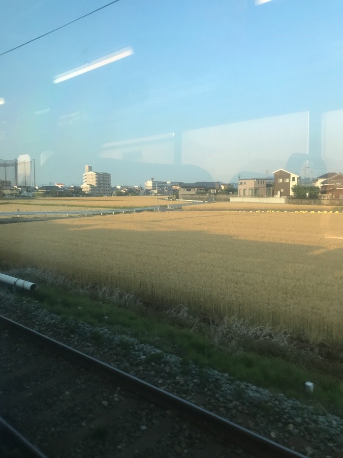 西鉄電車の車窓から