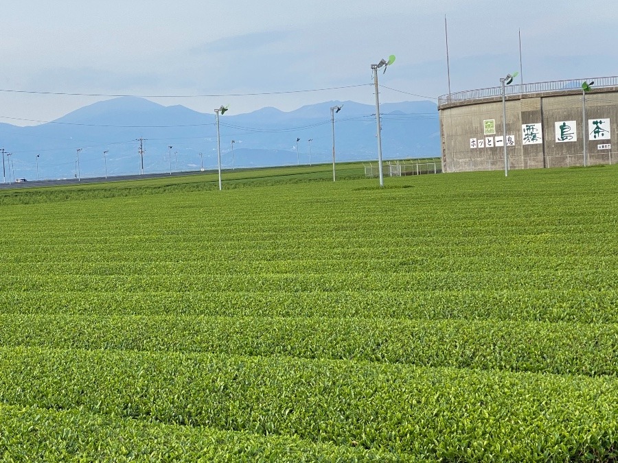 鹿児島代表(´ε｀ )♥