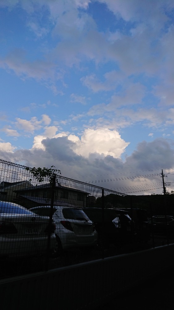 雨☔降るかも