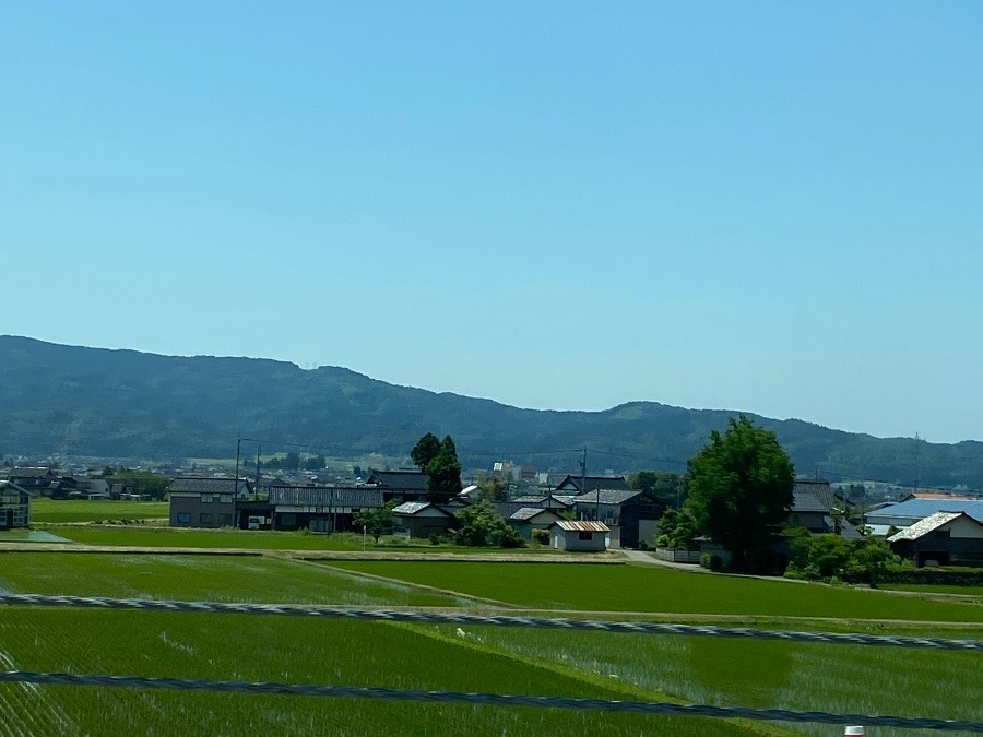 東海北陸自動車道　米処