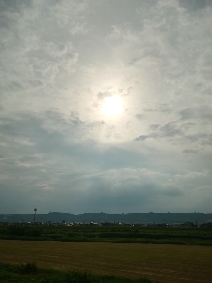 今朝の空