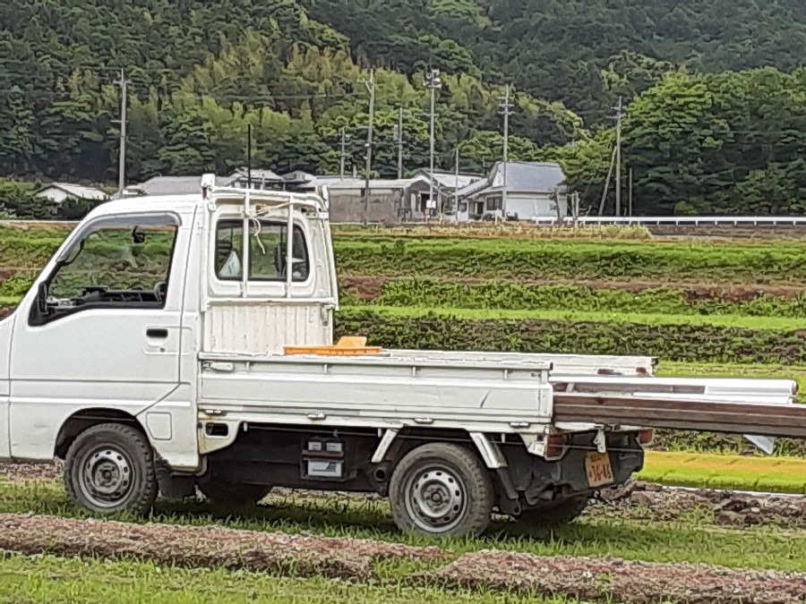 家族総動員で苗出し❣️( ˶˙ᵕ˙˶ )🍀*゜