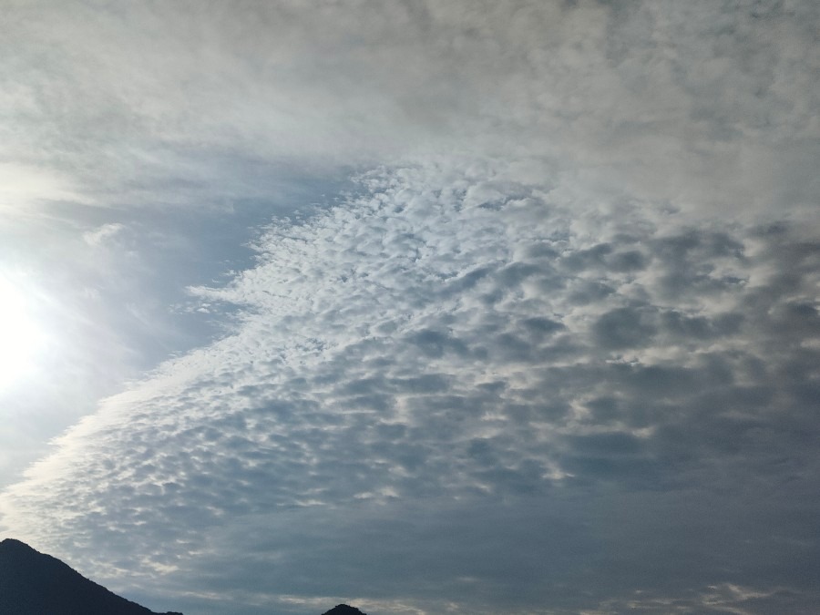 5/21の朝空