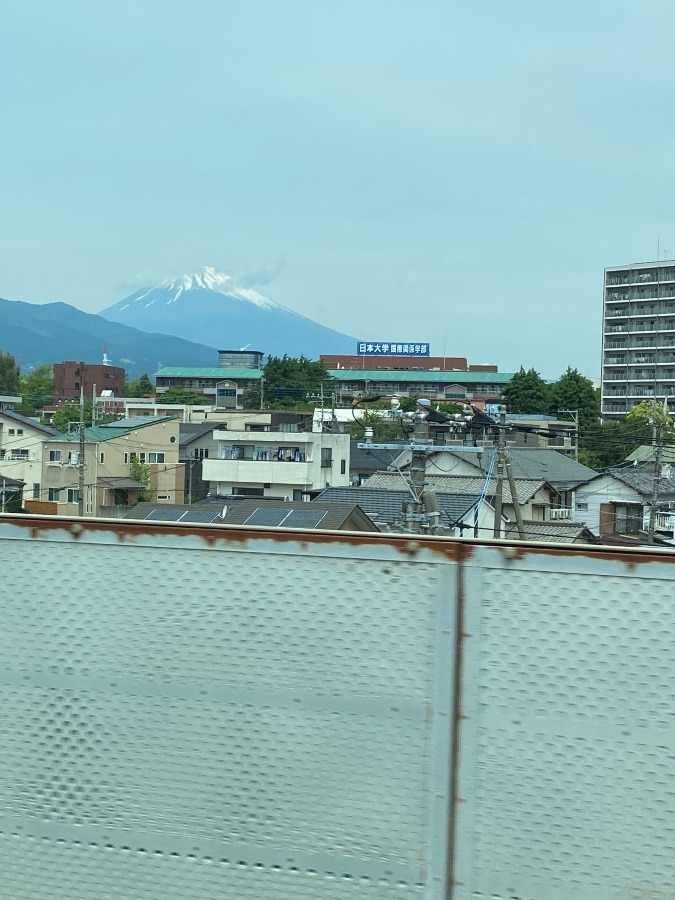 本日の富士山！