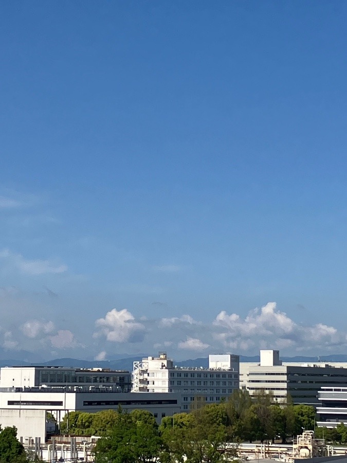 今朝の富士山　②