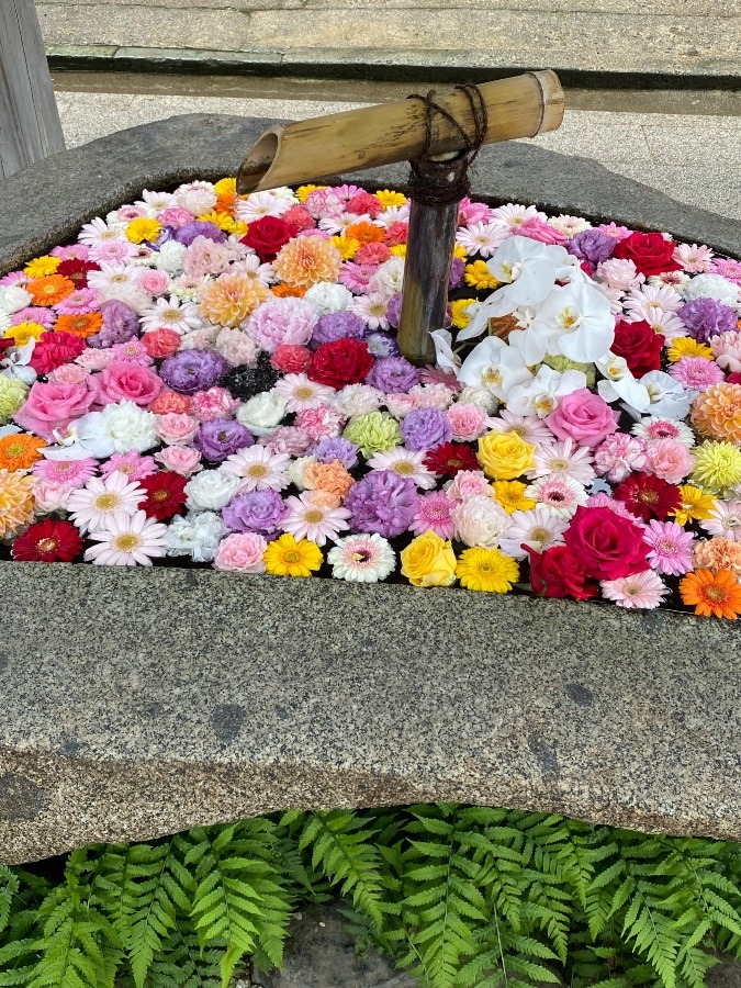 花手水⛩