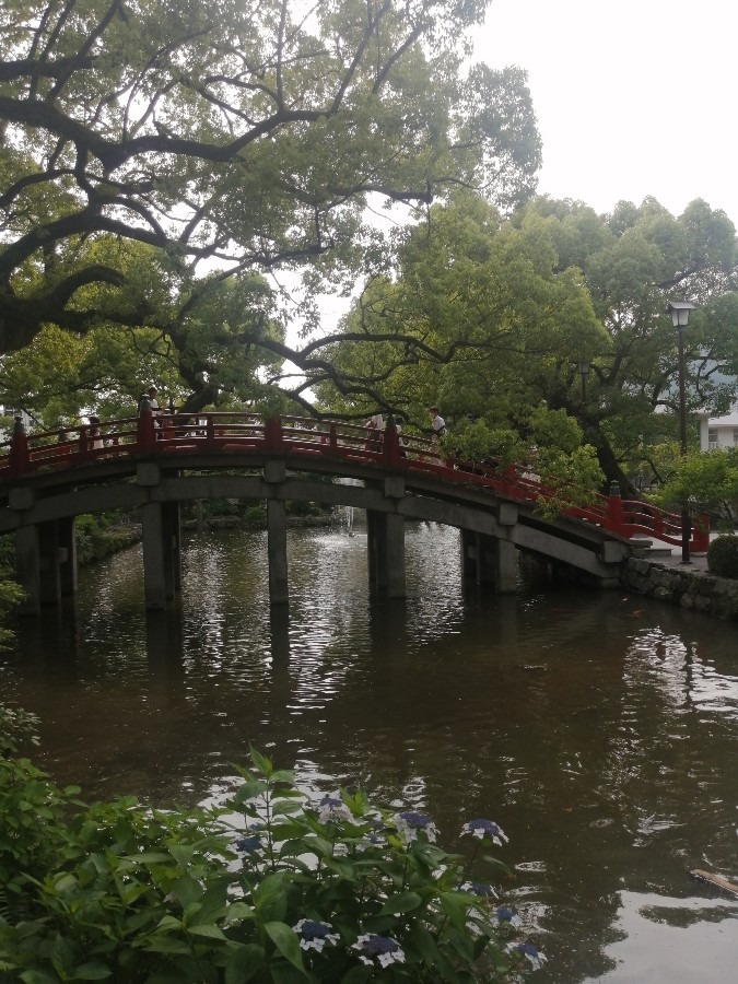 大宰府天満宮－太鼓橋－(縁切り橋)