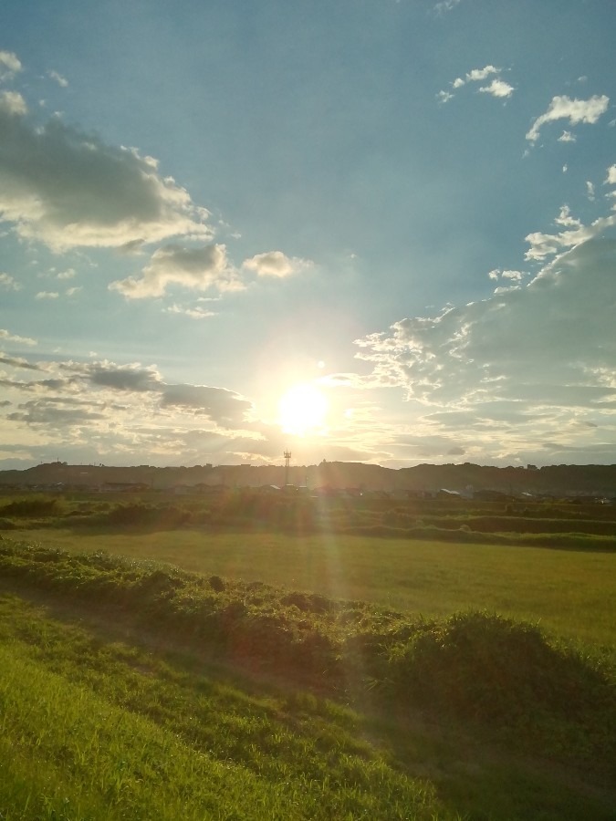 今朝の空